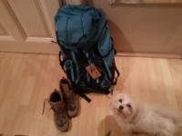 /album/photogallery/a20150227-192204-jpg/