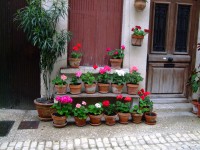 /album/photogallery/dscf0282-jpg/