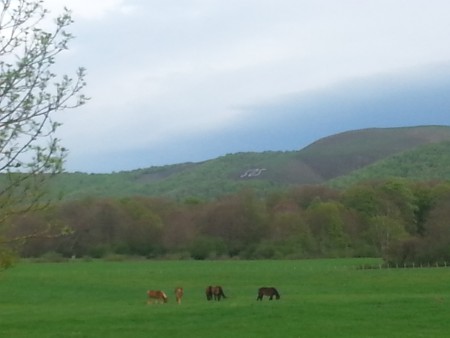 SOS and horses